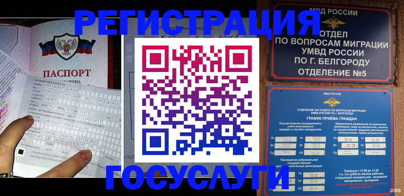 временная регистрация в квартире в Камчатской области